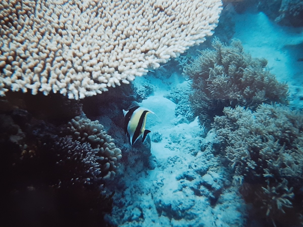 Great Barrier Reef