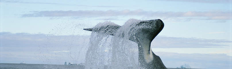  
	© Paul Nicklen/National Geographic Stock / WWF-Canada