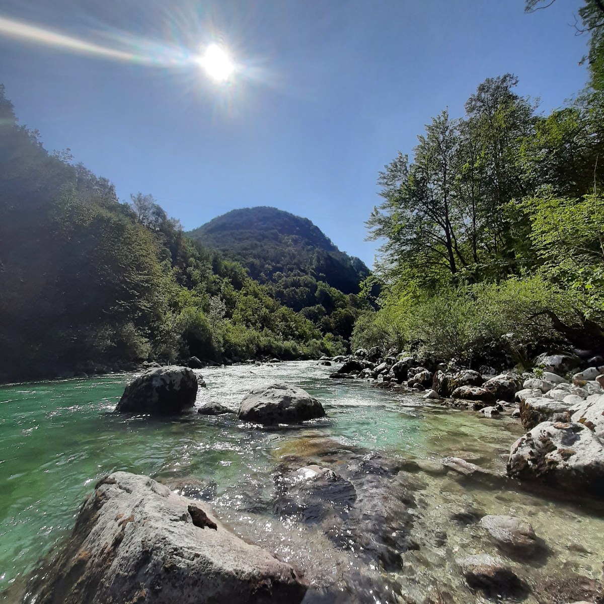 River Systems: Anthropogenic&nbsp;Impact