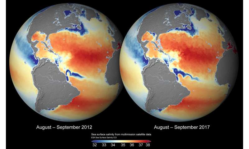 New maps of salinity reveal the impact of climate variability on oceans