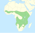Geographical distribution map of the lion