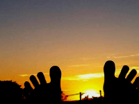 Reducing the Carbon Footprint&nbsp;101