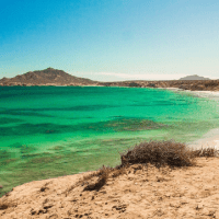 A large natural biodiversity aquarium: the sea of&nbsp;Cortez